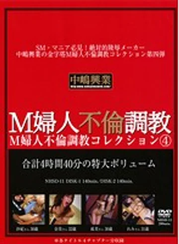 NHSD-011 jav