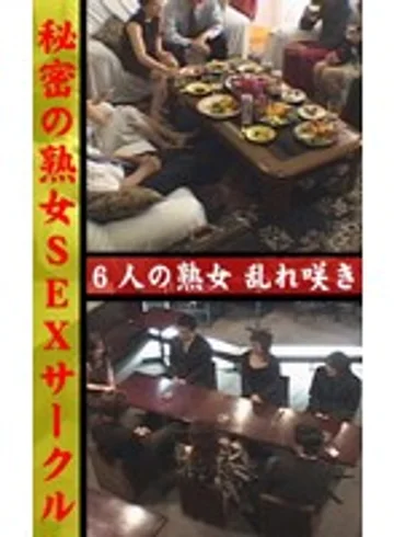 parat00421 jav