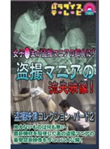 parat00619 jav