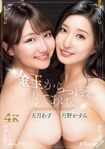 SQTE-642 jav
