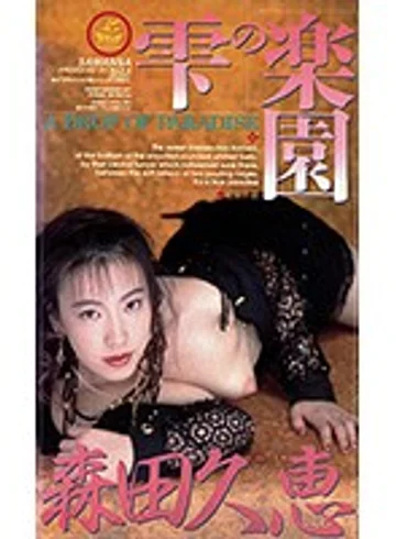 XS-2041 jav