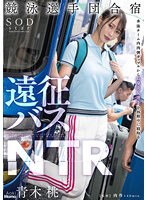 STARS-704 jav
