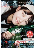 STARS-774 jav