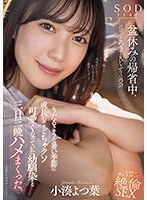 STARS-993 jav